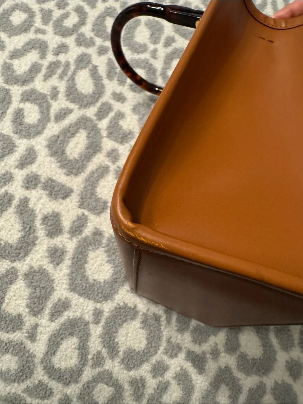 Fendi Sunshine Leather Tote with Tortoiseshell Handles